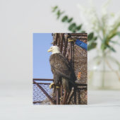 蟹のワシポット ポストカード (スタンド正面)