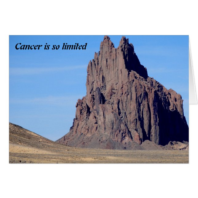 蟹座はとても限られています (正面横)