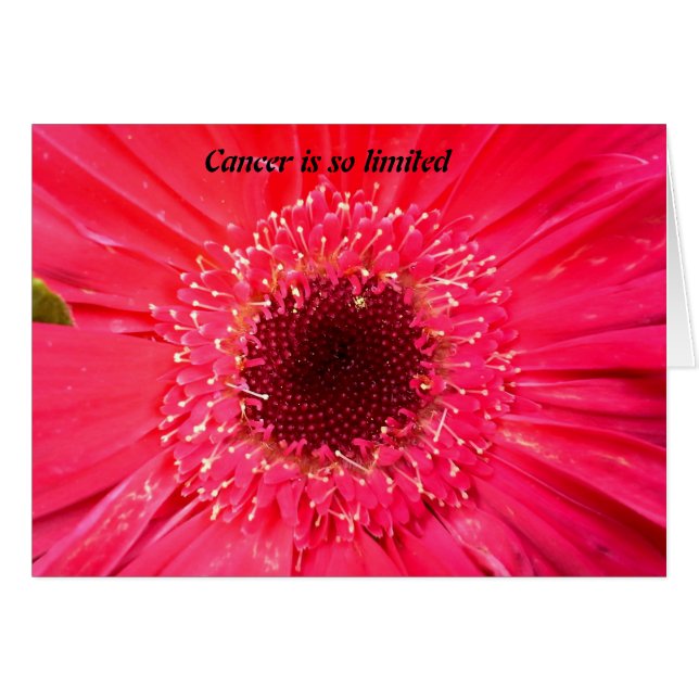 蟹座はとても限られています (正面横)