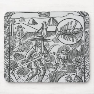 蟹座7月のhaymaking、 マウスパッド