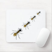 蟻の歩行 マウスパッド (マウス)