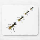 蟻の歩行 マウスパッド (正面)