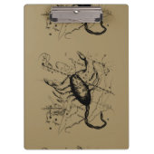 蠍座の星座のHeveliusの1690年の装飾 クリップボード (正面)