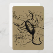 蠍座コンステレーションヘベリアス1690デコル (正面/裏面)