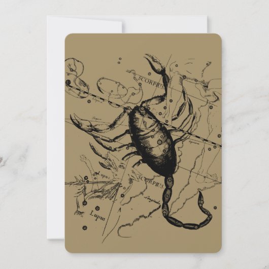 蠍座コンステレーションヘベリアス1690デコル (正面)