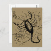 蠍座コンステレーションヘベリアス1690ヴィンテージ ポストカード (正面/裏面)