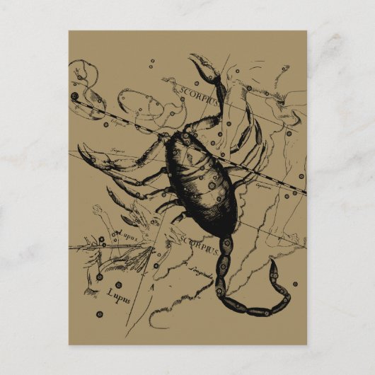 蠍座コンステレーションヘベリアス1690ヴィンテージ ポストカード (正面)