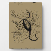 蠍座コンステレーションヘベリアス1690版木、銅版、版画 フォトプラーク (正面)