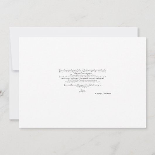 蠍座スコーピオン (裏面)