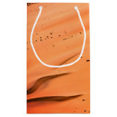 蠍座ベビー（10月23日～11月21日）サソリ スモールペーパーバッグ (裏面)