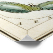 蠍座占星術のスケッチ ポスター (角)