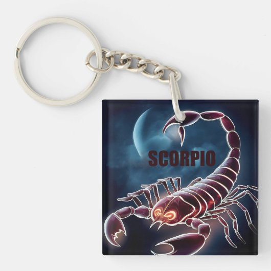 蠍座星占い徴候 キーホルダー (正面)