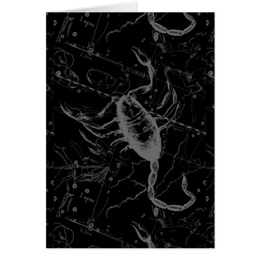 蠍座星座ヘベリアス1690オンブラック (正面)