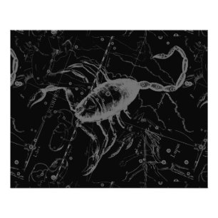 蠍座星座ヘベリアス1690オンブラック フォトプリント           