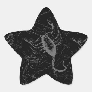 蠍座星座ヘベリウス1690ヴィンテージブラック 星シール