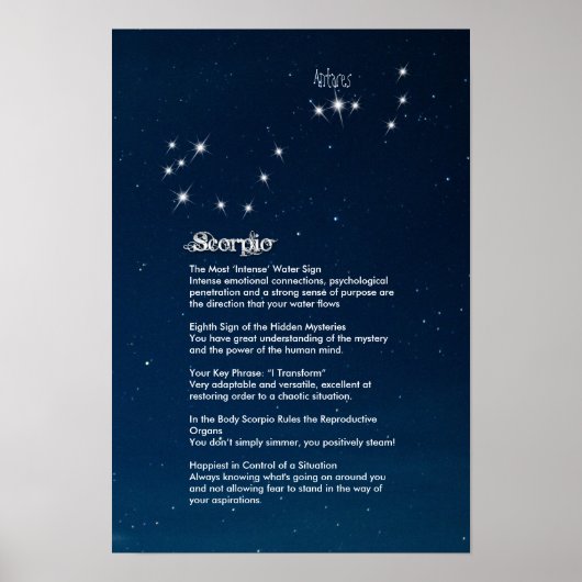 蠍座特性ポスター ポスター (正面)