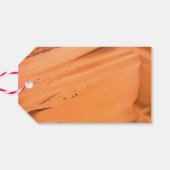 蠍座誕生日10月23日～11月21日)ギフトT ギフトタグ (裏面横)