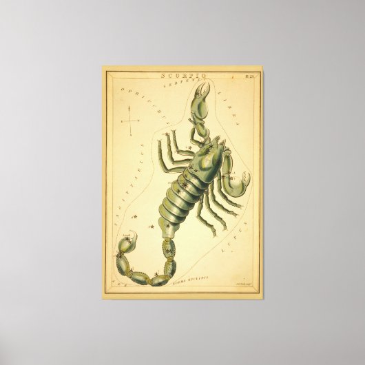 蠍座（スコーピオン）ヴィンテージ画像の〔占星術の〕十二宮図記号 キャンバスプリント (正面)