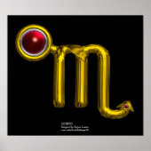 蠍座 ポスター (正面)