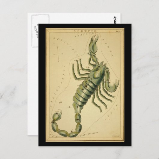 蠍座 ポストカード (正面/裏面)