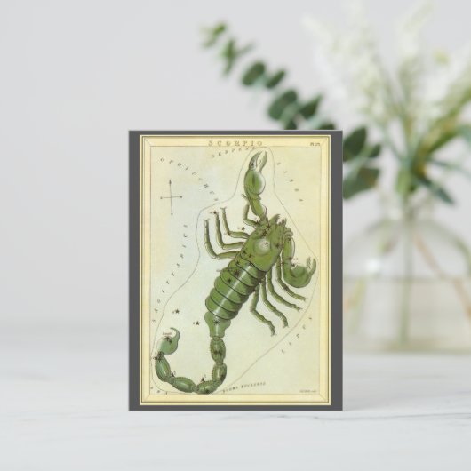 蠍座、ヴィンテージコンステレーションウラニア鏡 ポストカード (スタンド正面)