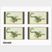 蠍座、ヴィンテージコンステレーションウラニア鏡 長方形シール (シート)