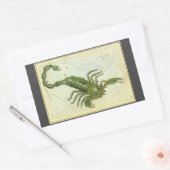 蠍座、ヴィンテージコンステレーションウラニア鏡 長方形シール (封筒)