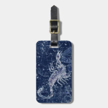 蠍座〔占星術の〕十二宮図標識ヴィンテージイラストレーション