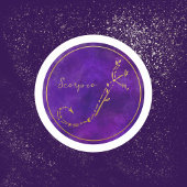 蠍座〔占星術の〕十二宮図標識金箔星座 ラウンドシール