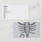 蠍座(蠍) 「Pからのイラストレーション 名刺 (正面/裏面)