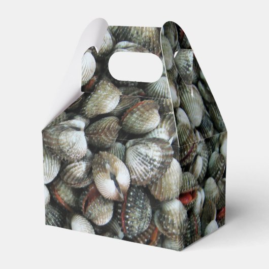 血のコックル貝 フェイバーボックス (正面サイド)