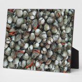 血のコックル貝 フォトプラーク (側面)