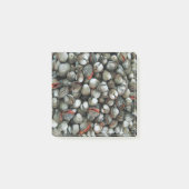 血のコックル貝 ポストイット (正面)