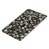 血のコックル貝 マグネット (左側)