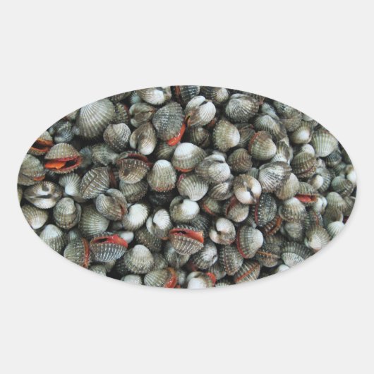 血のコックル貝 楕円形シール (正面)
