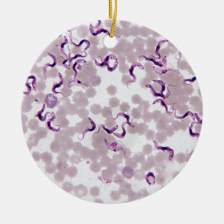 血の寄生虫Trypanosoma セラミックオーナメント