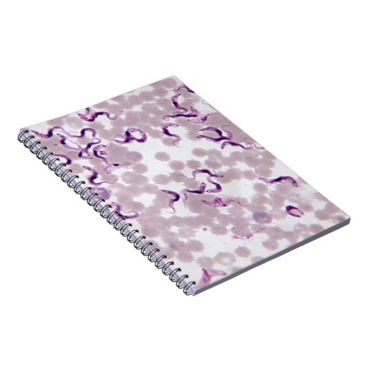 血の寄生虫Trypanosoma ノートブック (右側)