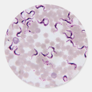 血の寄生虫Trypanosoma ラウンドシール
