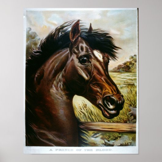 血の王子 ポスター (正面)