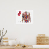 血圧および循環系 ポスター (キッチン)