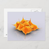 血小板のグループの概念像 ポストカード (正面/裏面)