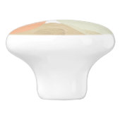 血小板 セラミックノブ (側面)