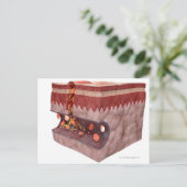 血栓の形成 ポストカード (スタンド正面)