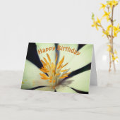 血液根フラワーセンター誕生日 カード (黄色い花)