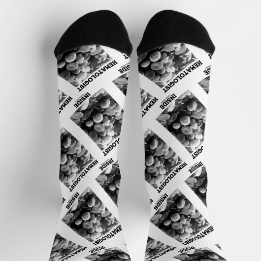 血液細胞電子顕微鏡内の血液学者 ソックス (上部)