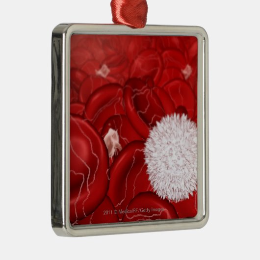 血球の顕微鏡の一見 メタルオーナメント (右)