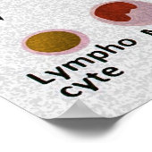 血球分化図 ポスター (角)