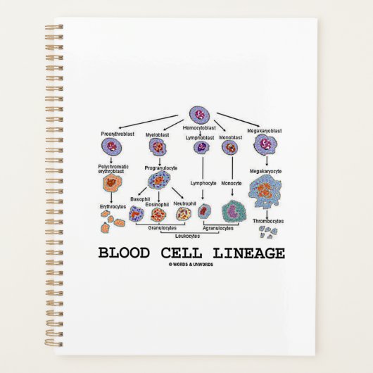 血球系統生物学保健医療 プランナー手帳 (正面)