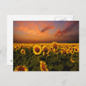 血空 ポストカード (正面/裏面)