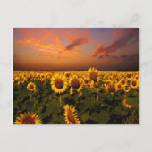 血空 ポストカード (正面)